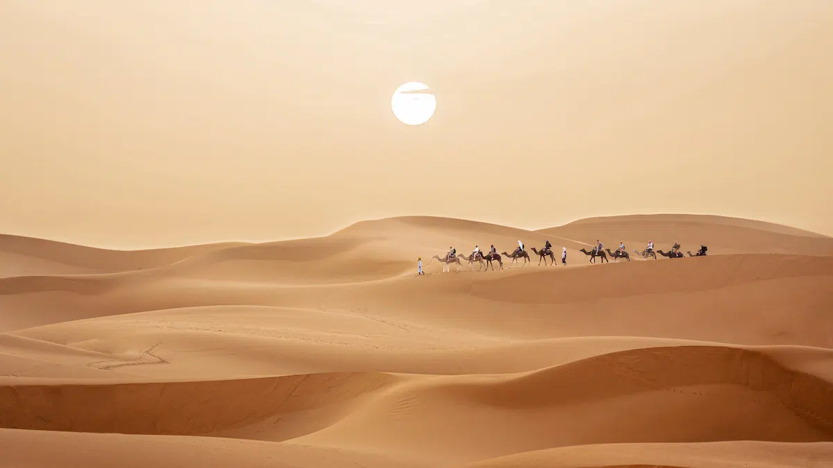 10 Best Places To Visit In Morocco - Travel Guide camel trekking in the dunes of merzouga desert during sunset in morocco