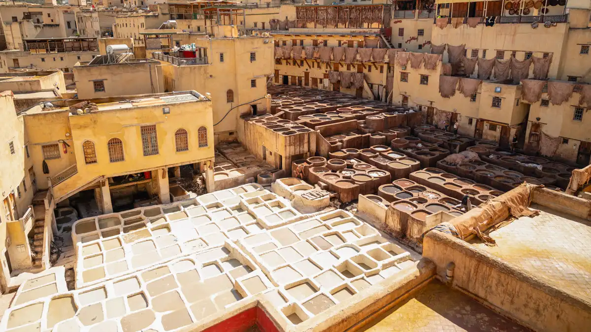 What is the City of Fez Famous For Fez Tannery; chouara Tannery in fez