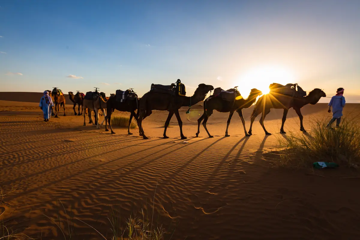 How many days for Sahara Desert Tour